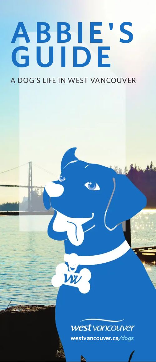 membership brochure flipbook